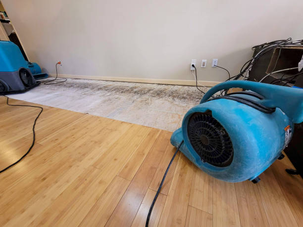 Professional Flood Damage Cleanup technician working in Kissimmee, FL